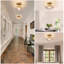 Glass Semi Flush Mount-118152054