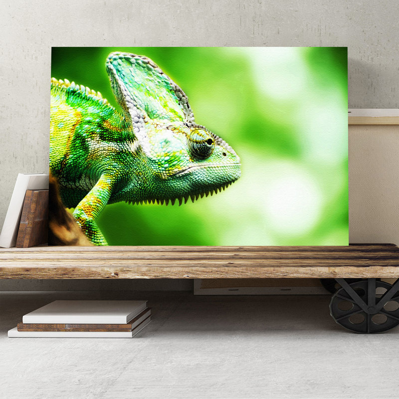 Chameleon Lizard Photographic - Wrapped Canvas, 40cm H x 60cm W