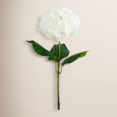 Hydrangea Floral Stems