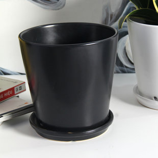 Pot à fleur en céramique Pansy (Ensemble de 2)