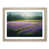 Oak Frame