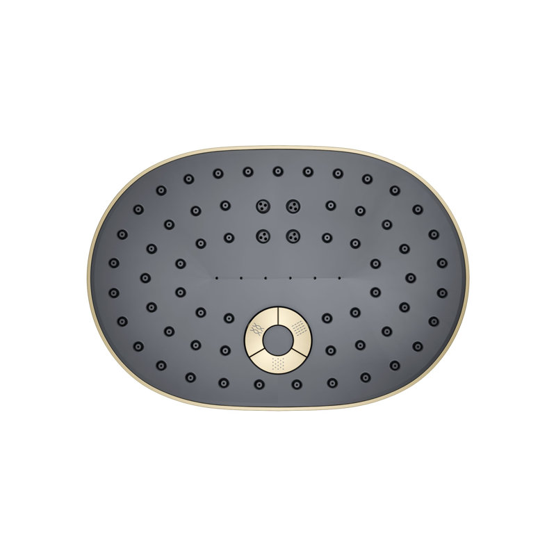 Statement™ 2.5 GPM Oval Multifunction Showerhead with Katalyst Air-Induction Technology, Vibrant French Gold