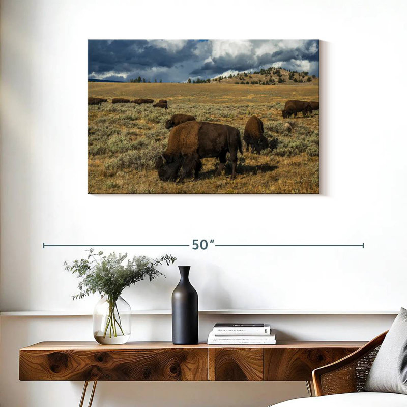 Bison Brampt Yellowstone, H 24 po x l 36 po