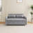 Sofa pull-out bed includes two pillows-660915630