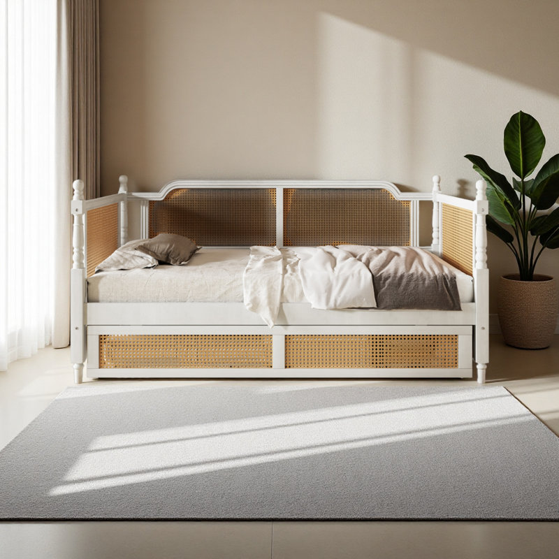 Traditional Style Rattan Twin Size Daybed With 2 Drawers For Limited Space, Guest Room, No Box Spring Needed