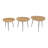 Ashelynn Solid Wood Top Nesting Tables-577835244