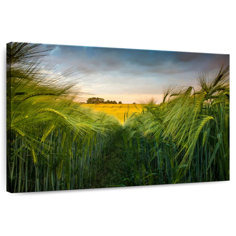 Harnek Green Wheat Field