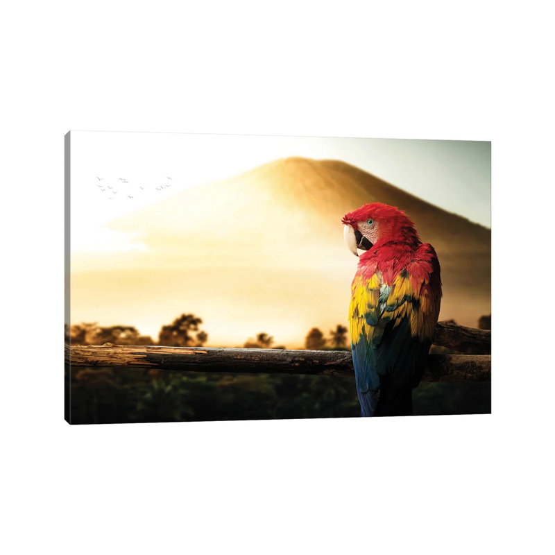 Parrot by Milos Karanovic - Wrapped Canvas Print, 66.04 cm H x 45.72 cm W x 1.91 cm D