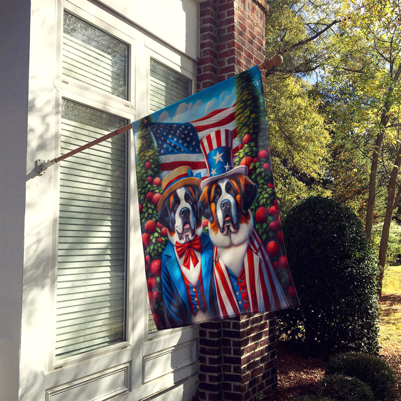 Drapeau «All American House», Bleu / rouge rayé Saint-Bernard
