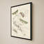 Mariposas I par V. Larkspar - Impression sur toile-502667588-502667590