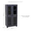 Armoire de rangement avec 3 tablettes réglables et 4 fenêtres - gris anthracite