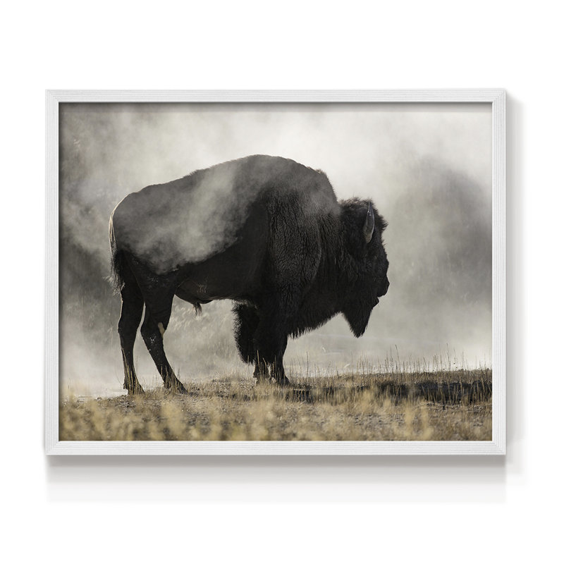 Geyser Basin -Framed Print - Restickable, 11" H x 14" W, White
