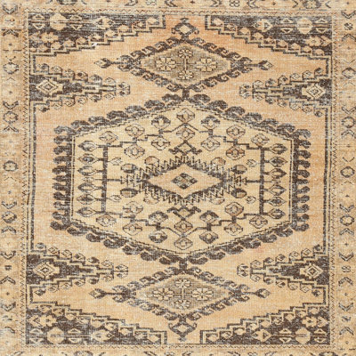 Oriental Indoor Rug