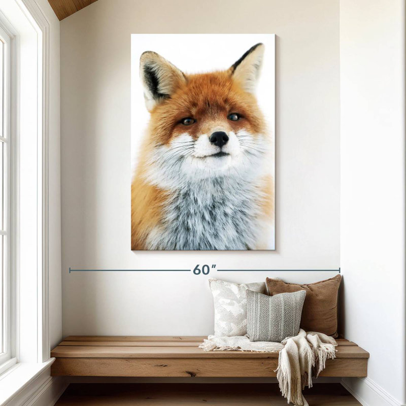 Regard de renard Brampt, H 48 po x l 32 po