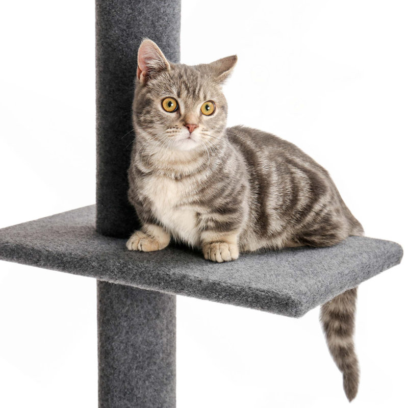 Arbre à chat à 3 niveaux pour grimper, gratter et jouer avec une structure stable et plusieurs niveaux, Noir
