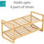 6 Pair Shoe Rack