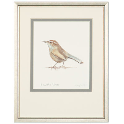 Bewick's Wren Print