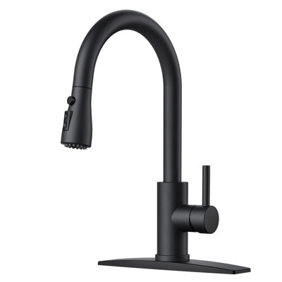Black Kitchen Faucet with Pull Down Sprayer
