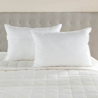 Down Plush Pillow