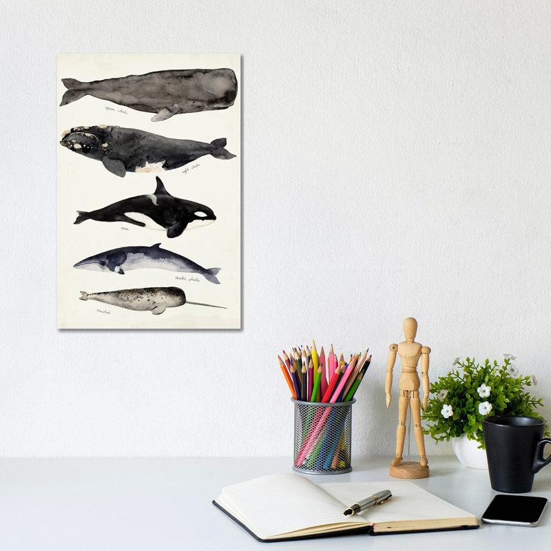 Whale Chart I by Victoria Barnes - Wrapped Canvas Painting, 20.32 cm H x 30.48 cm W
