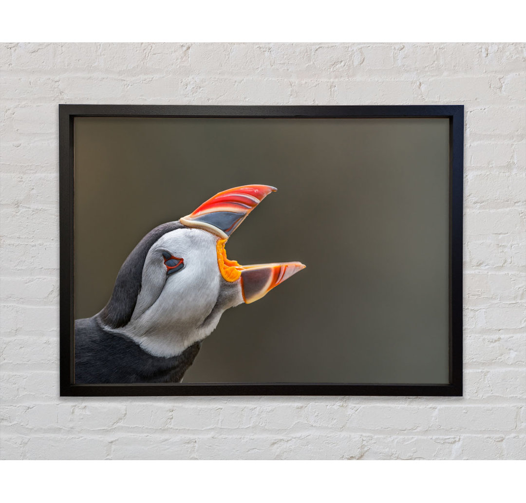 Puffin Sounding The Alarm - Einzelner Bilderrahmen Kunstdrucke auf Leinwand