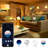 12 6500 Bulb