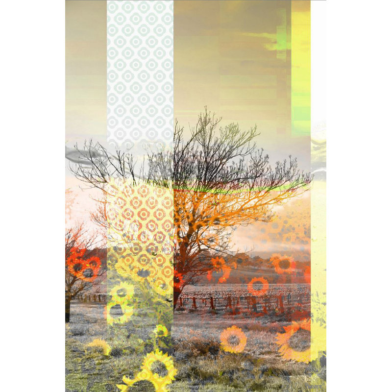 Parvez Taj - Wrapped Canvas Print, 76cm H x 51cm W