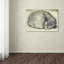 « sleeping cat », art mural sur toile tendue-26109365
