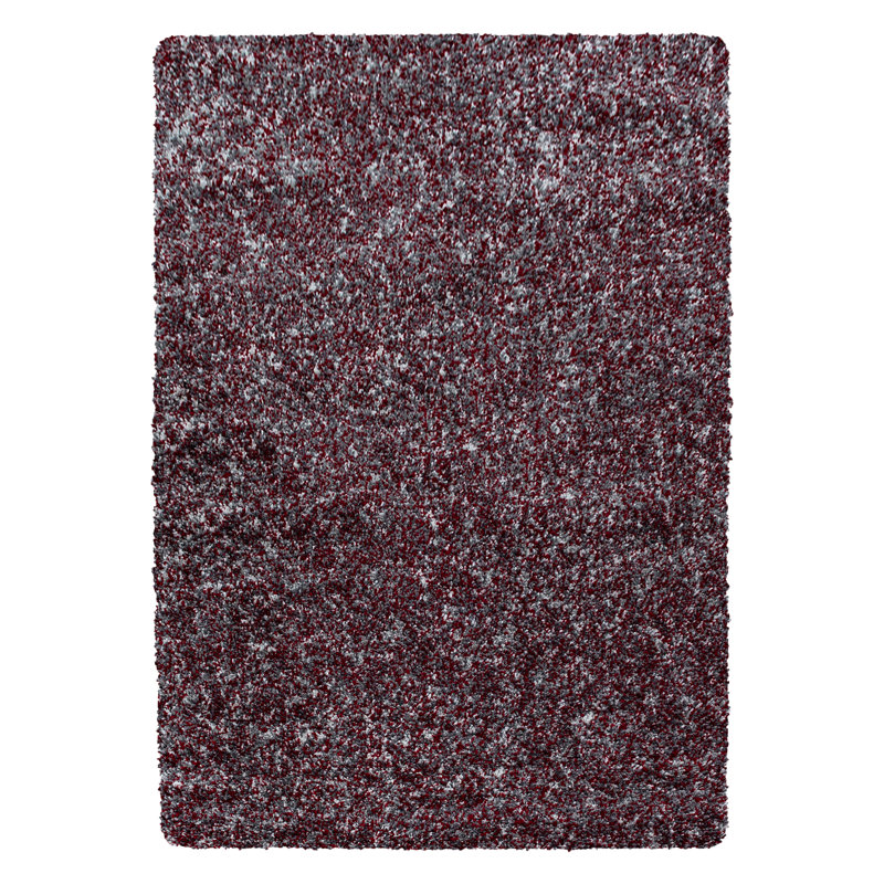 Hearn Shag Polypropylene Red Rug, Rectangle 160 x 230cm
