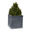 Cumberland Handmade Planter