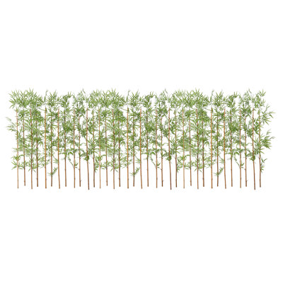 Adcock Bamboo Hedge