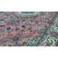 Shah One-of-a-Kind 5'9" X 8'9" Area Rug