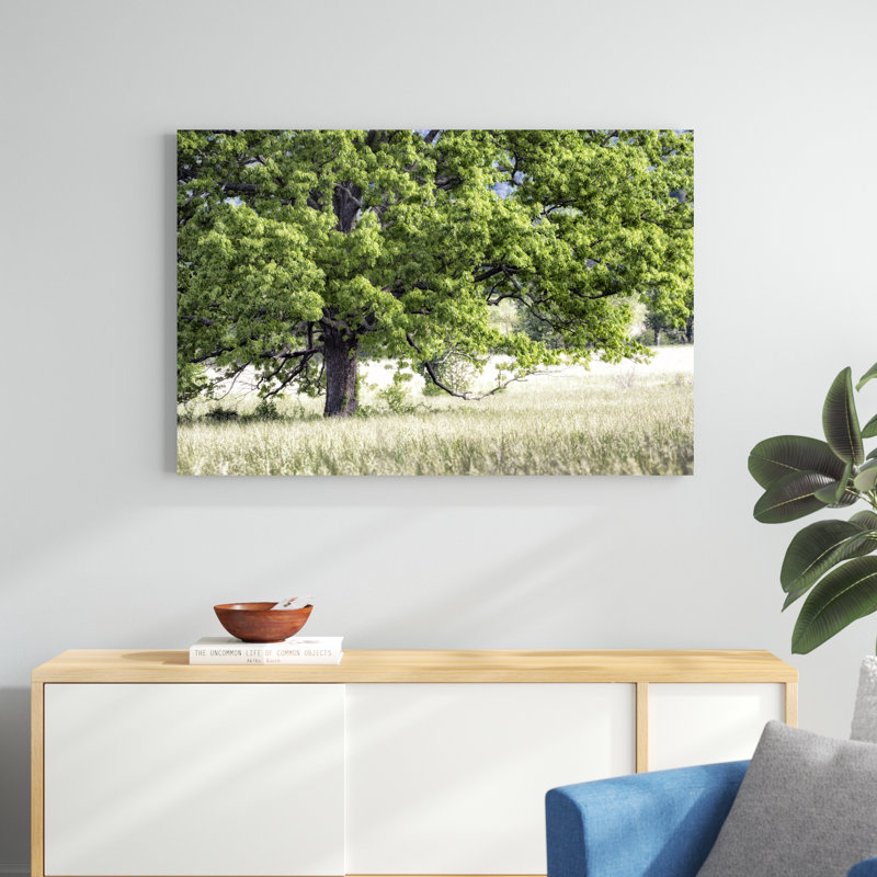 Arbre en été, H 32 po x l 48 po x P 1,25 po