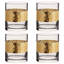 Acker 400ml Whiskey Glass Set
