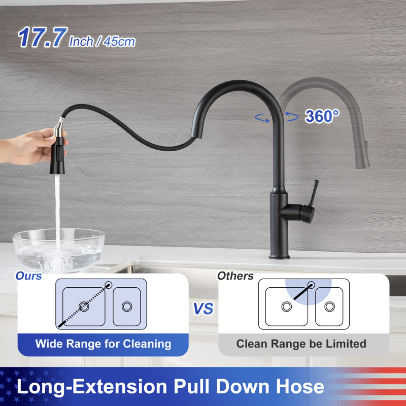 Rainlex Pull Down Kitchen Faucet, Matte Black