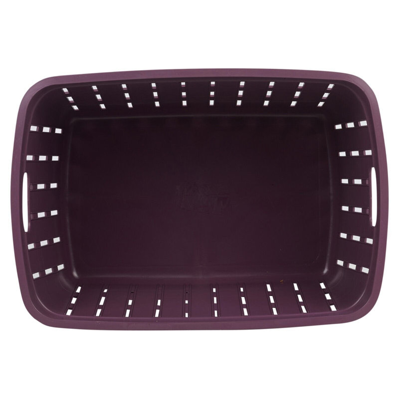 Rebrilliant Plastic Storage Tub & Tote, Purple