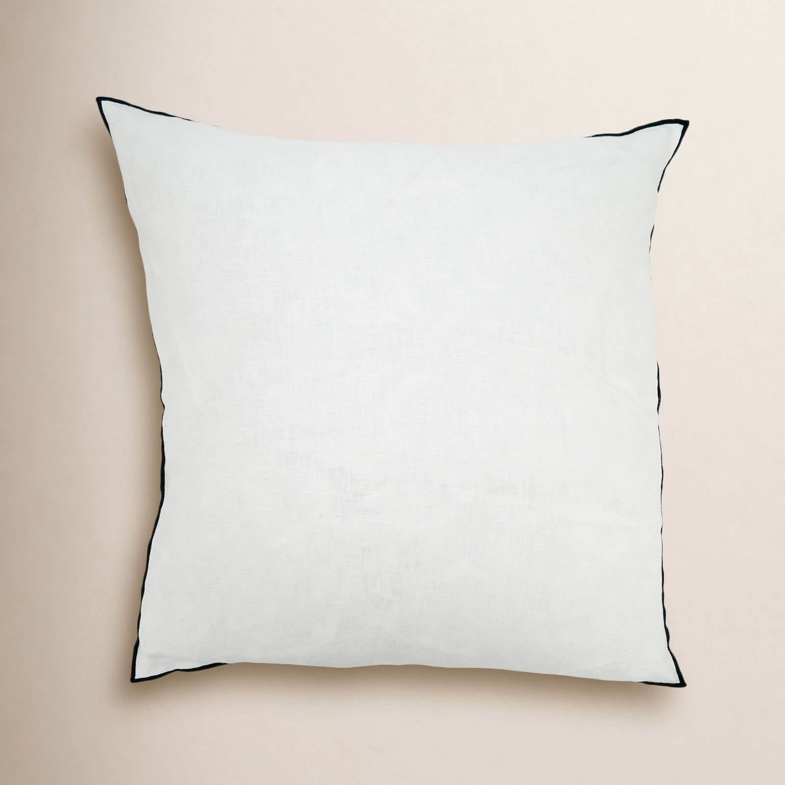 Riggs 20" x 20" Linen Pillow Cover, Black