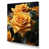 Wrapped Canvas