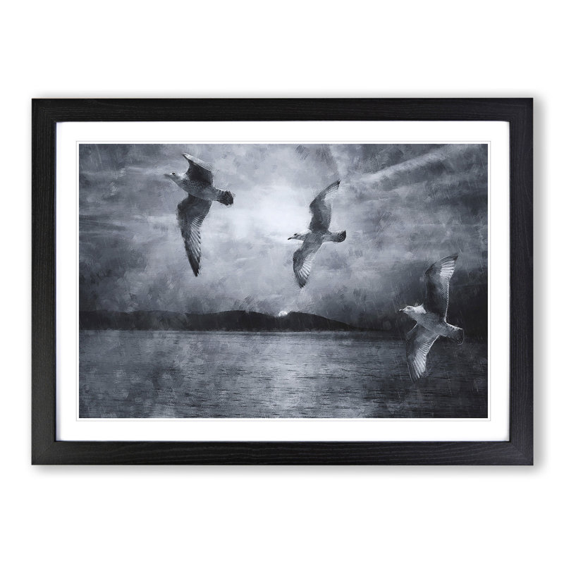 Three Seagulls - Picture Frame Graphic Art, 36cm H x 48cm W x 2cm D, Black