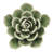 Arciniega Ceramic Desert Flower-569626575-569626574