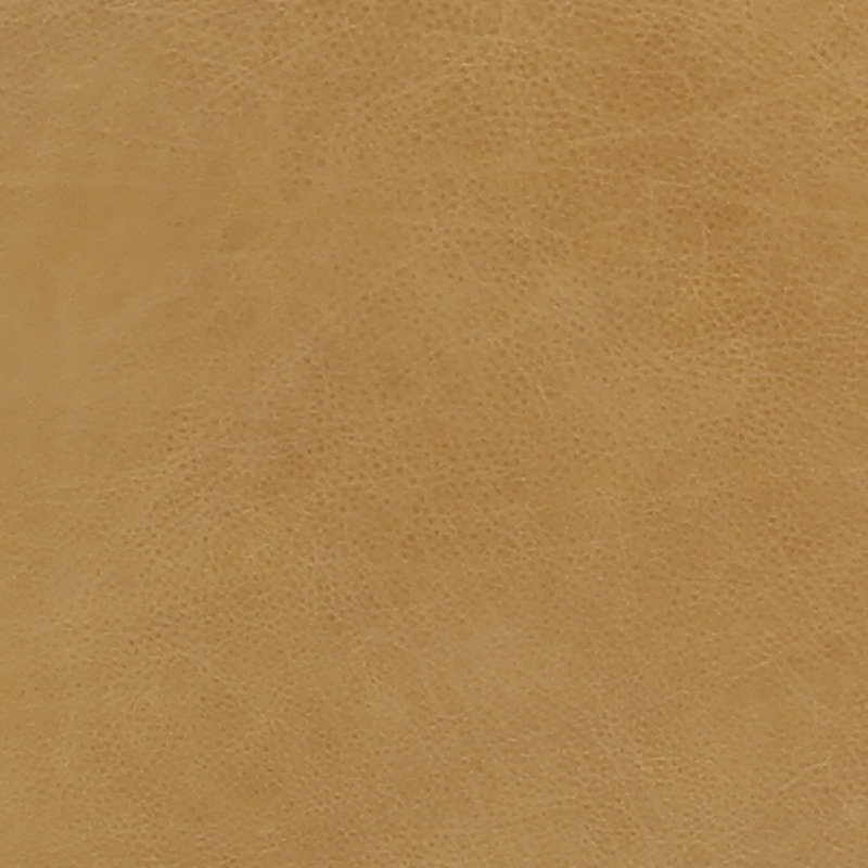 Fae Barrel Chair, Palermo Butterscotch Genuine Leather