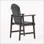 Chaises de salle à manger d'extérieur résistantes aux intempéries en bois d'acacia Adirondack (ensemble de 2), finition foncée