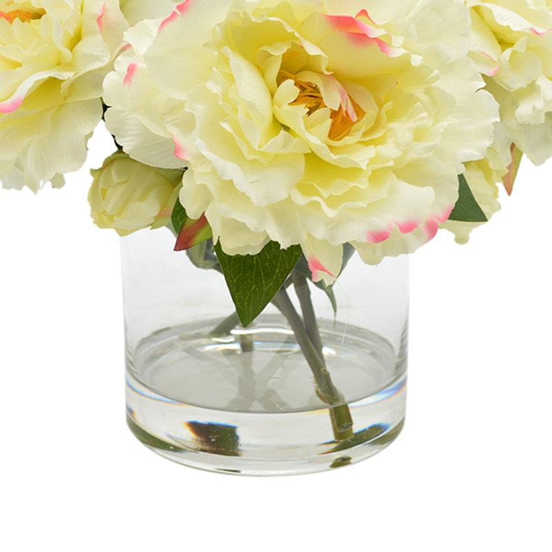 Peonies Arranged in Glass Vase, White