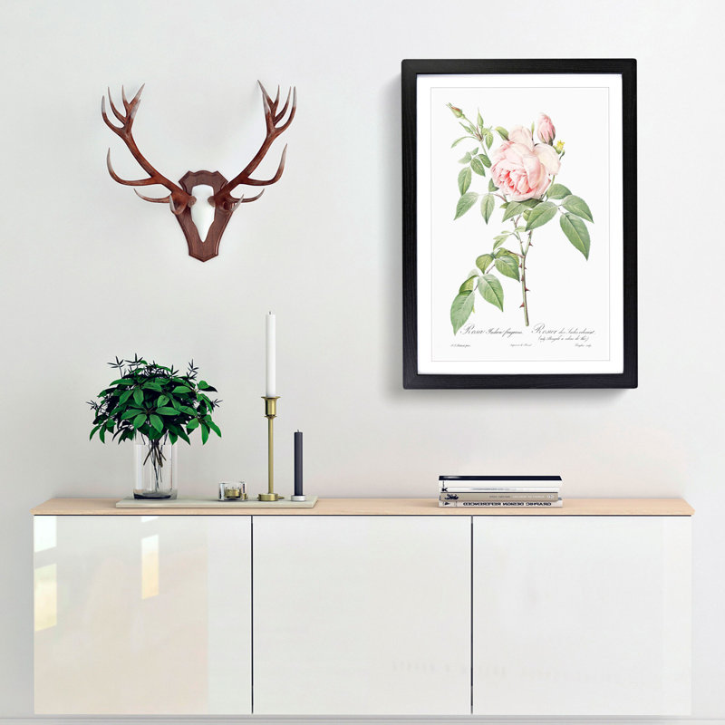 The Pale Pink Roses by Pierre-Joseph Redoute - Picture Frame Painting Print, 48cm H x 36cm W x 2cm D, Black Framed