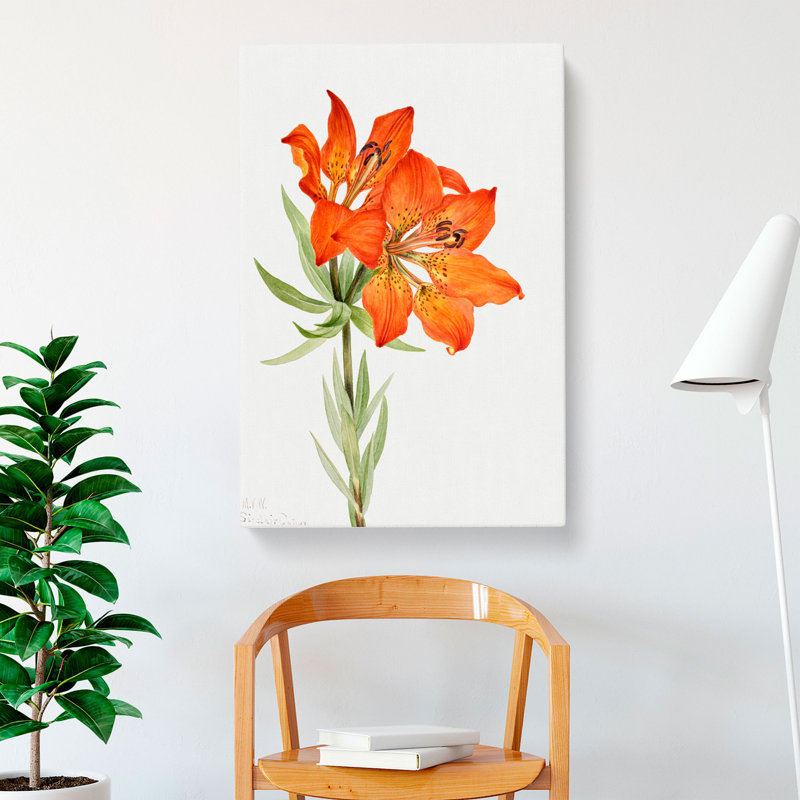Red Lily by Mary Vaux Walcott - Wrapped Canvas Painting, 60cm H x 40cm W x 3cm D