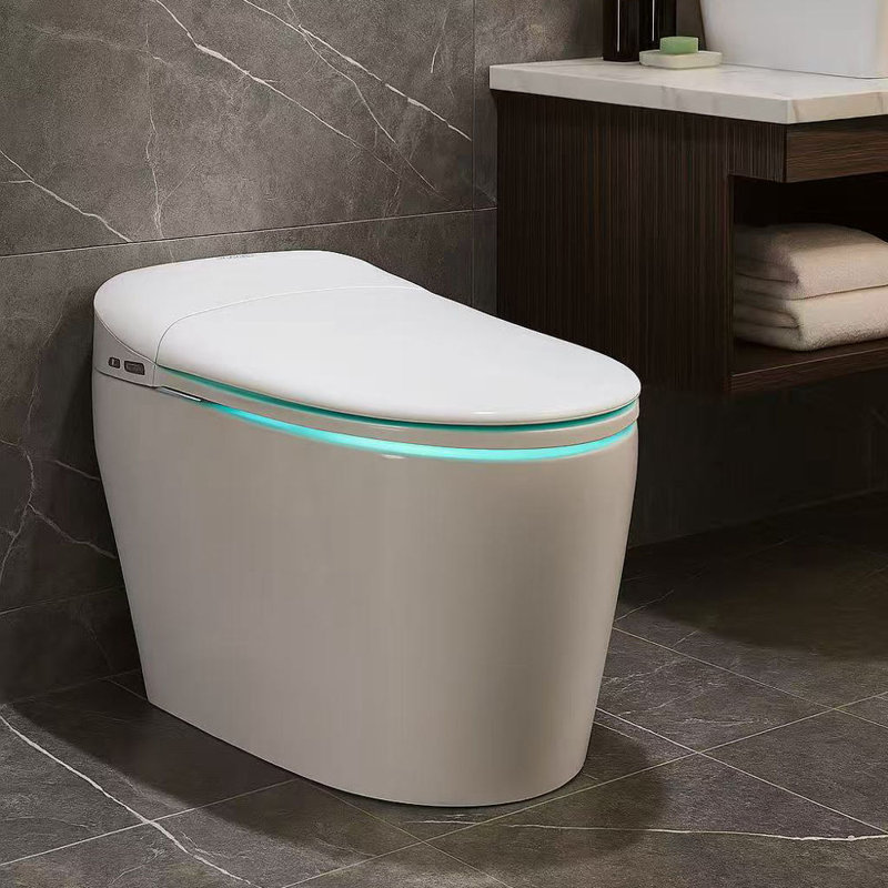 Toilette intelligente une pièce à double chasse allongée bidet (siège inclus)