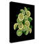 Dosta «Lemons Limes and Mint», impression sur toile tendue-29226636