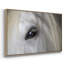 Balearic Island Horse, peinture sur toile encadrée-94364288-94364287