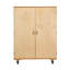 5 Compartment Manufactured Wood Classroom Cabinet
