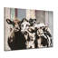 «Bétail» par Olivia Rose - impression sur toile tendue-32927635